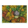 Az erdő színei, 1000 darabos puzzle