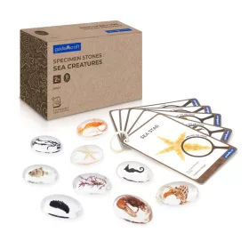 Mintakövek, Tengeri élőlények