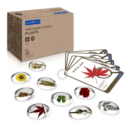 Mintakövek, Növények akril kövekben, Guidecraft