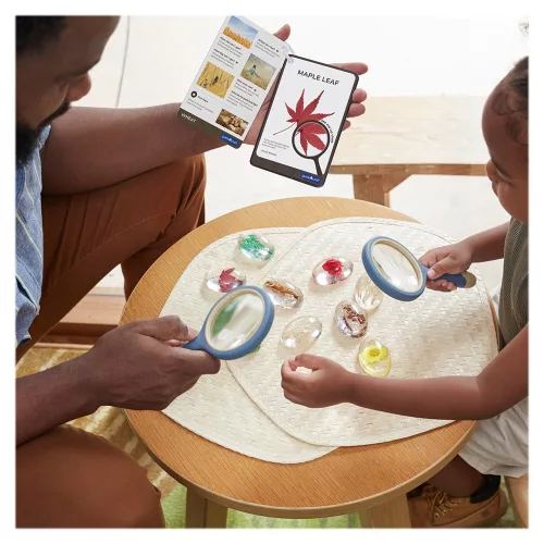 Mintakövek, Növények akril kövekben, Guidecraft