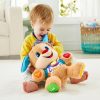 Fisher-Price fejlesztõ játék Tanuló kutyus FPN76|0887961613698