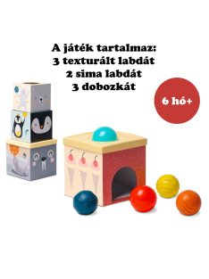  Taf Toys kockapiramis - Északi Sark érzékfejlesztõ labdákkal  12735