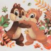 Bébi rövid ujjú kombidressz Vp Chip and Dale nyers 68|0024362034068