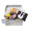 Taf Toys játékkészlet hasonfekvéshez Tummy-time 13435|0605566134352
