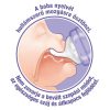 Lansinoh etetõcumi extra lassú folyású 2db|5060420234565
