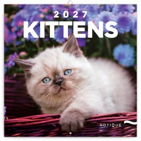   Falinaptár képes lemeznaptár 300x300mm, Kittens Realsystem 2027.