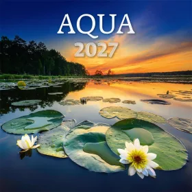   Falinaptár képes 300 x 300 mm, fehér lapokkal Aqua Dayliner 2027.