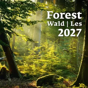   Falinaptár képes 300 x 300 mm, fehér lapokkal Forest Dayliner 2027.