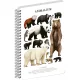 Jegyzetfüzet ikerspirálos Animalium – Bears, sima, 14,8x21cm A5, Presco