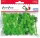 Pompon 10 mm 120 db/csomag Daco zöld|120 db/cs, 1 cm, AD053V
