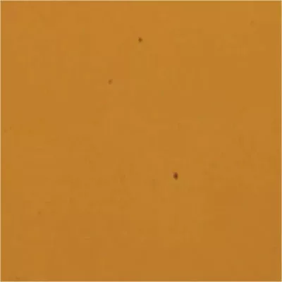 Filclapok 20*30cm 1mm Világosbarna